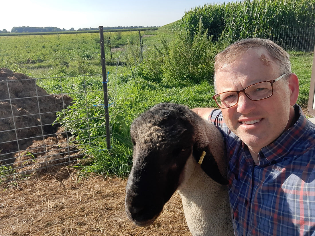 When Rams Go Rogue - A Story of Unwarranted Courage