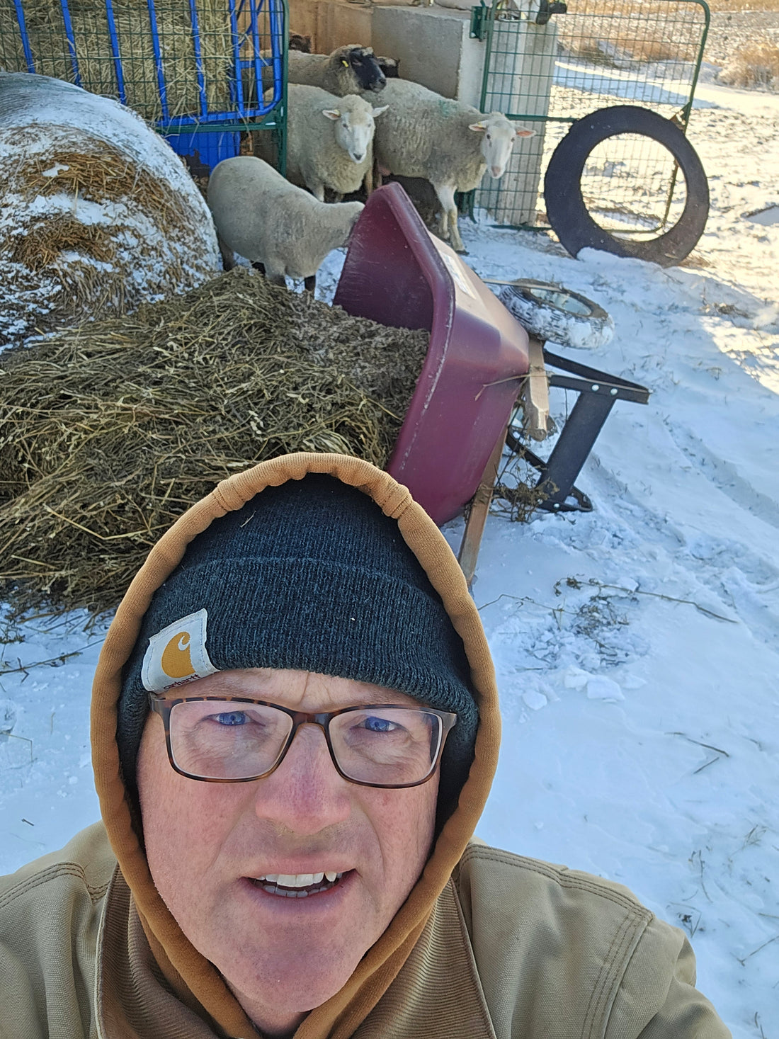 It Wasn’t Me, But It Took Me Months to Realize Why