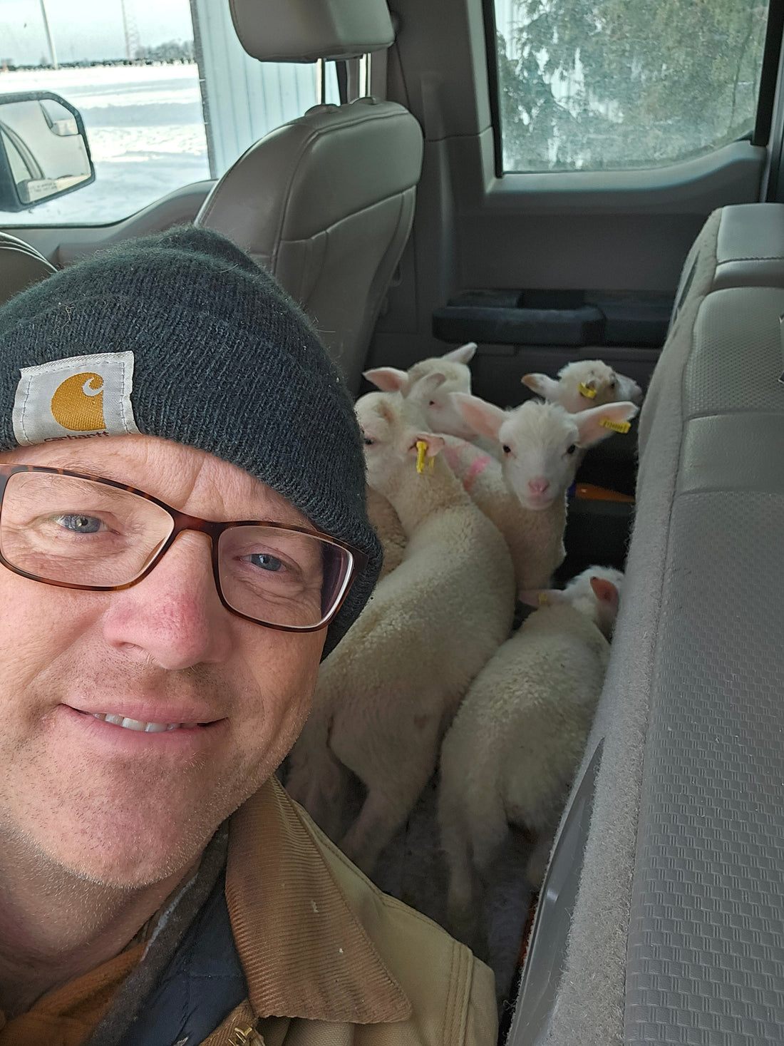 Those Darn Online Classifieds Got Me Again…