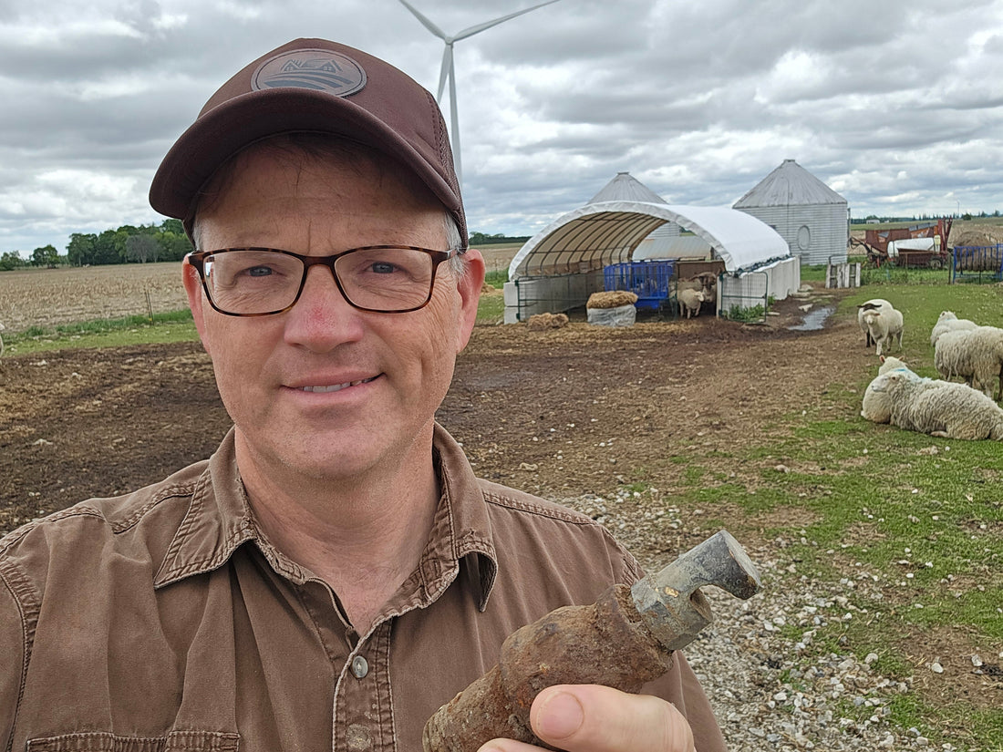 Buried in the Barnyard: A Memory I Didn’t Know I Had