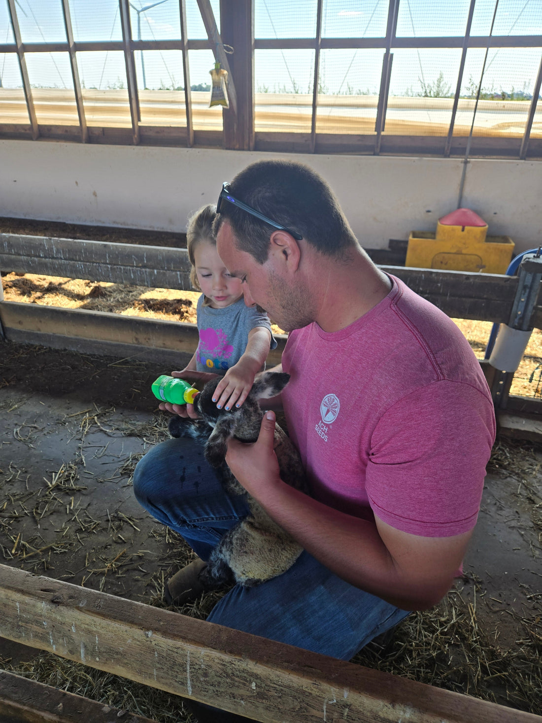 Adam kneels in the barn holding a lamb while his daughter helps bottle-feed it, sunlight streaming through large windows behind them.