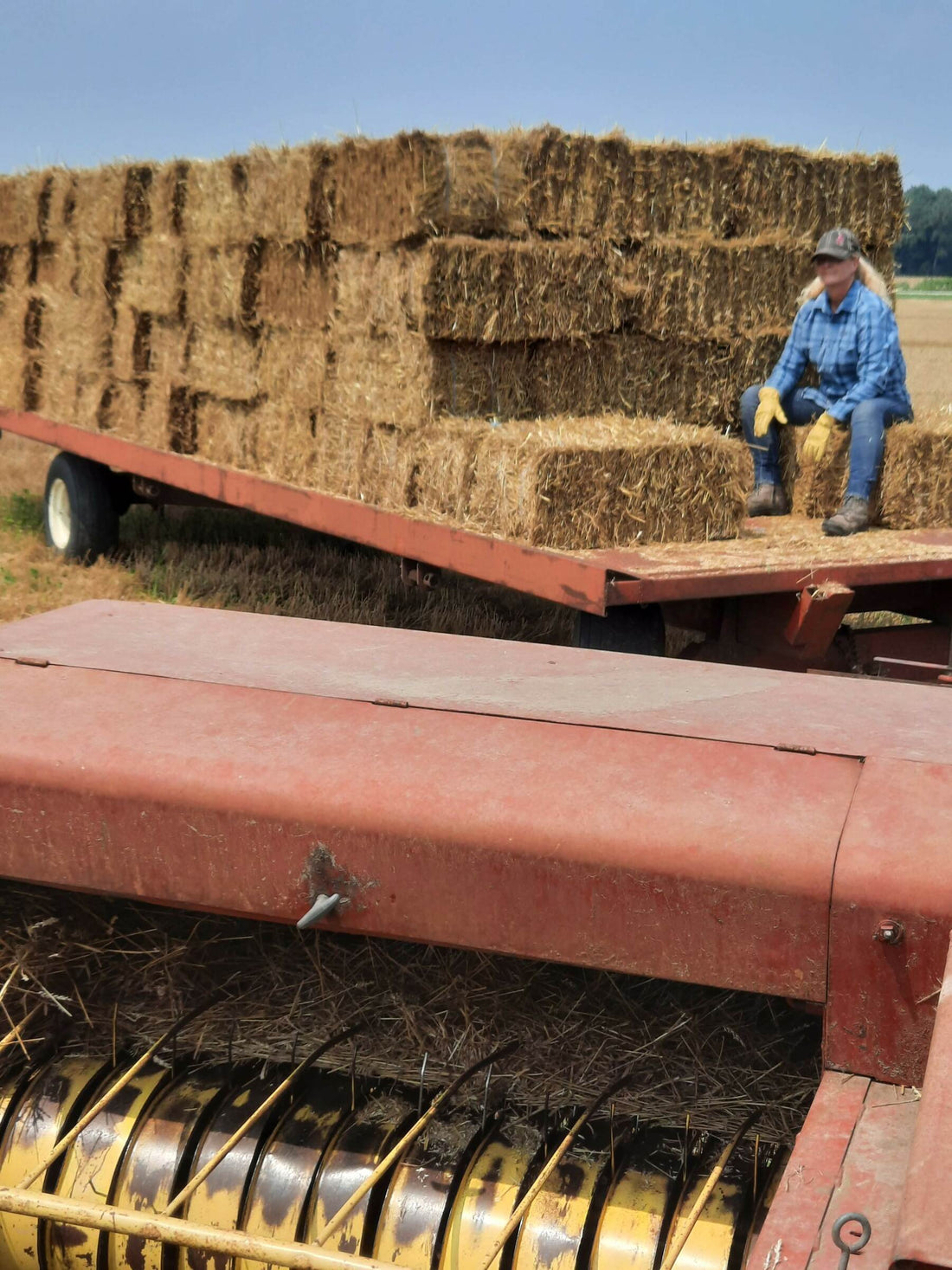 Sometimes It Takes More Than Family: It Takes a Village