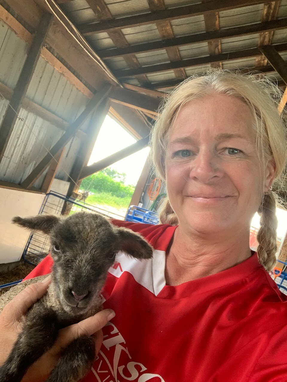 If we don't know where we are going how will we know when we get there, Anne To The Rescue Again