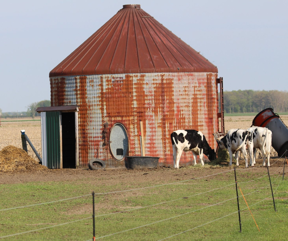 Grain Bin Barn