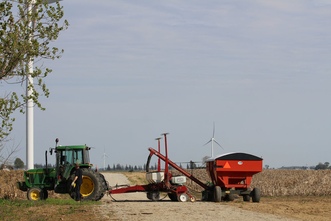 From Lambs to Land: The Sprint into Spring