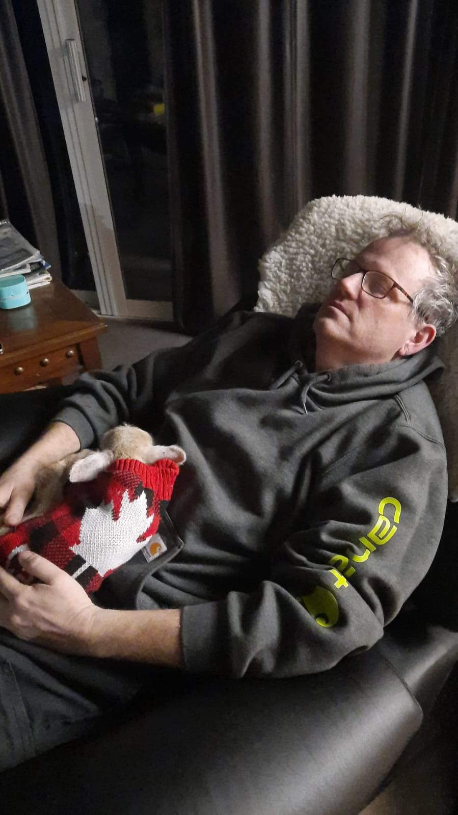 Man Does Midnight Bottle Feeding - A Hard to Believe True Story Bottle Lambs, Pet Lambs, Orphan Lambs