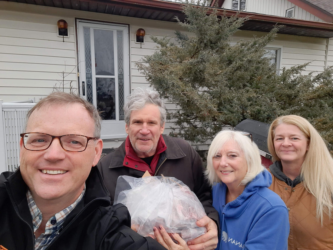 Do Egyptian Dogs Like Lamb Table Scraps?🐶