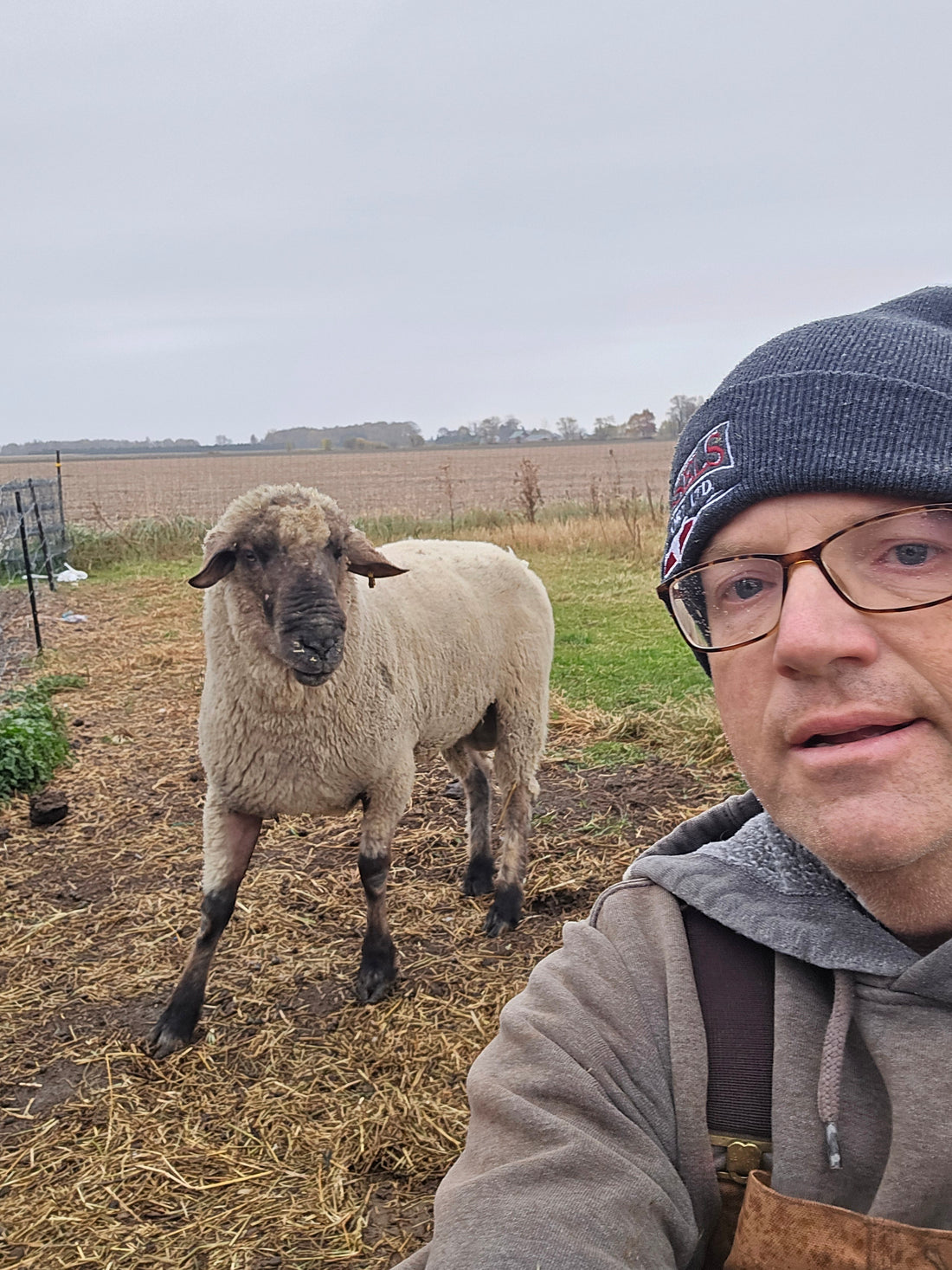 🐏 The Chiropractor