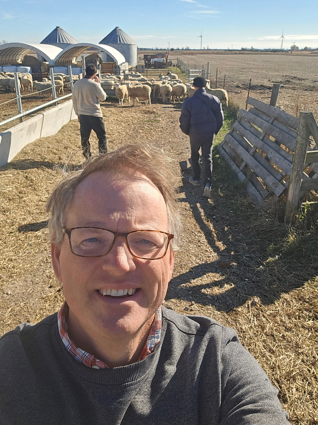 A Father, a Son, and 30 Escaped Sheep Walk Into A Farm...
