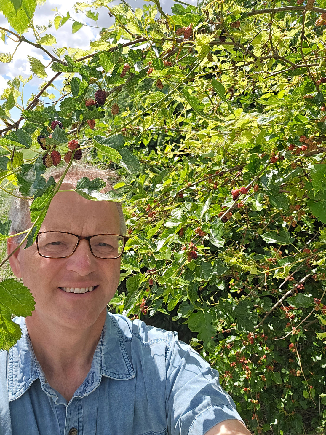 All Around the Mulberry Bush