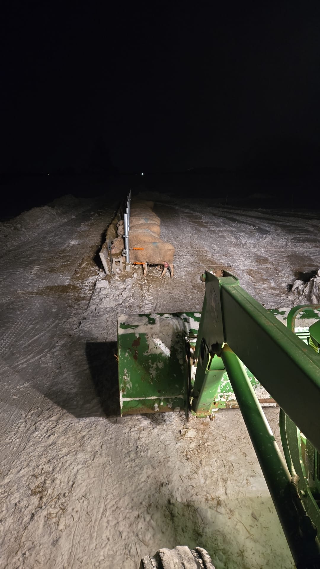 Morning Chores at 9:30pm