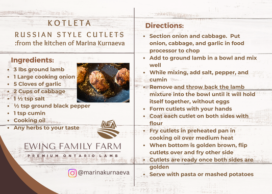 Kotleta: Russian Cutlets: from the Kitchen of Marina Kurnaeva