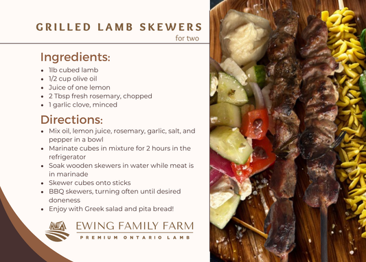 Grilled Lamb Skewers