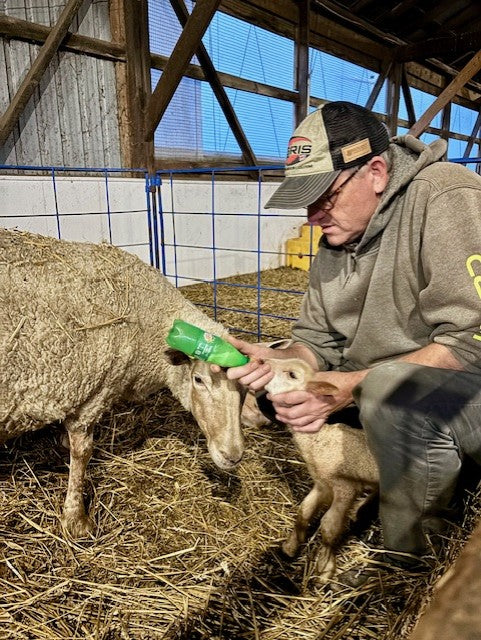 Ultrasounds, bad beans, and a laugh with Doug